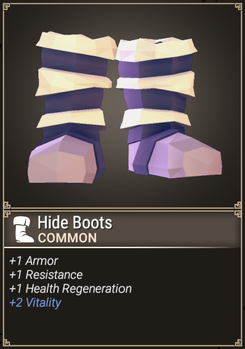 Hide Boots