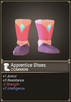 Apprentice Shoes